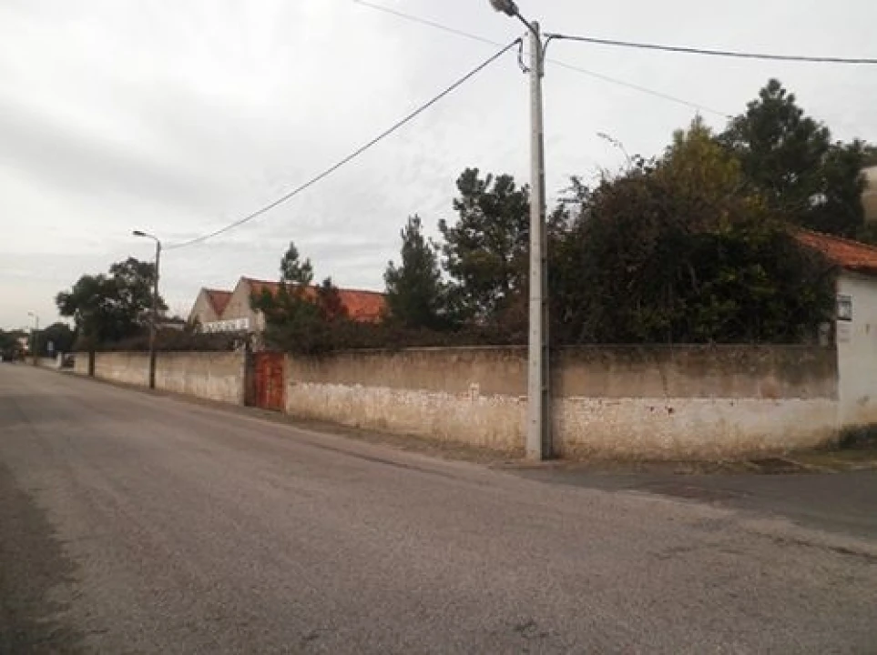 Terreno para Venda em Ponte de Sor, Tramaga e Vale de Açor Foto 8