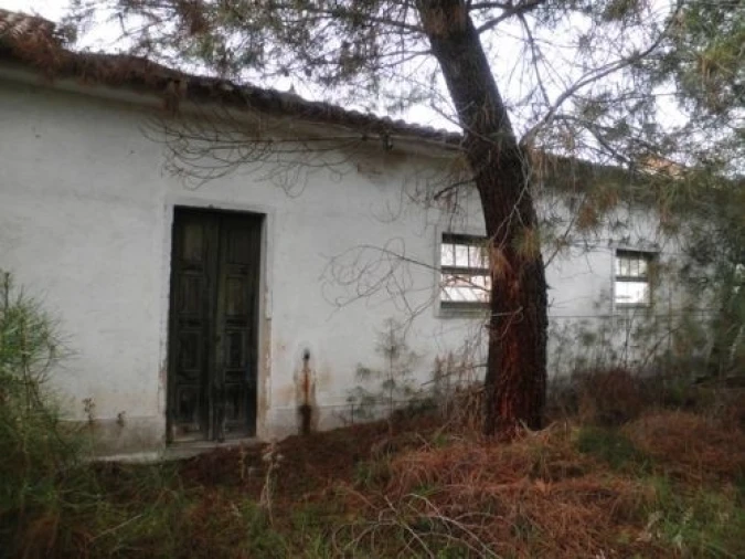 Terreno para Venda em Ponte de Sor, Tramaga e Vale de Açor Foto 4