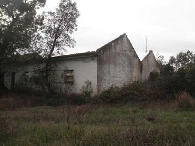 Terreno para Venda em Ponte de Sor, Tramaga e Vale de Açor Foto 5