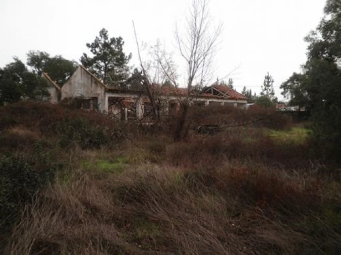 Terreno para Venda em Ponte de Sor, Tramaga e Vale de Açor Foto 6