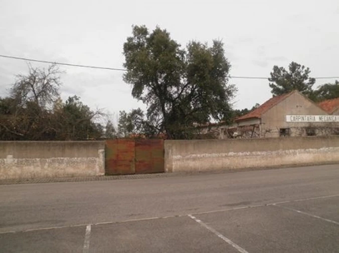 Terreno para Venda em Ponte de Sor, Tramaga e Vale de Açor Foto 10