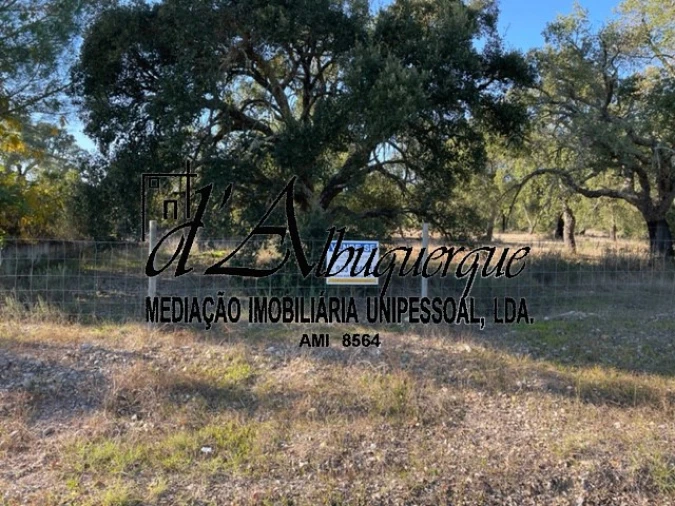 Terreno para Venda em Ponte de Sor, Tramaga e Vale de Açor Foto 1