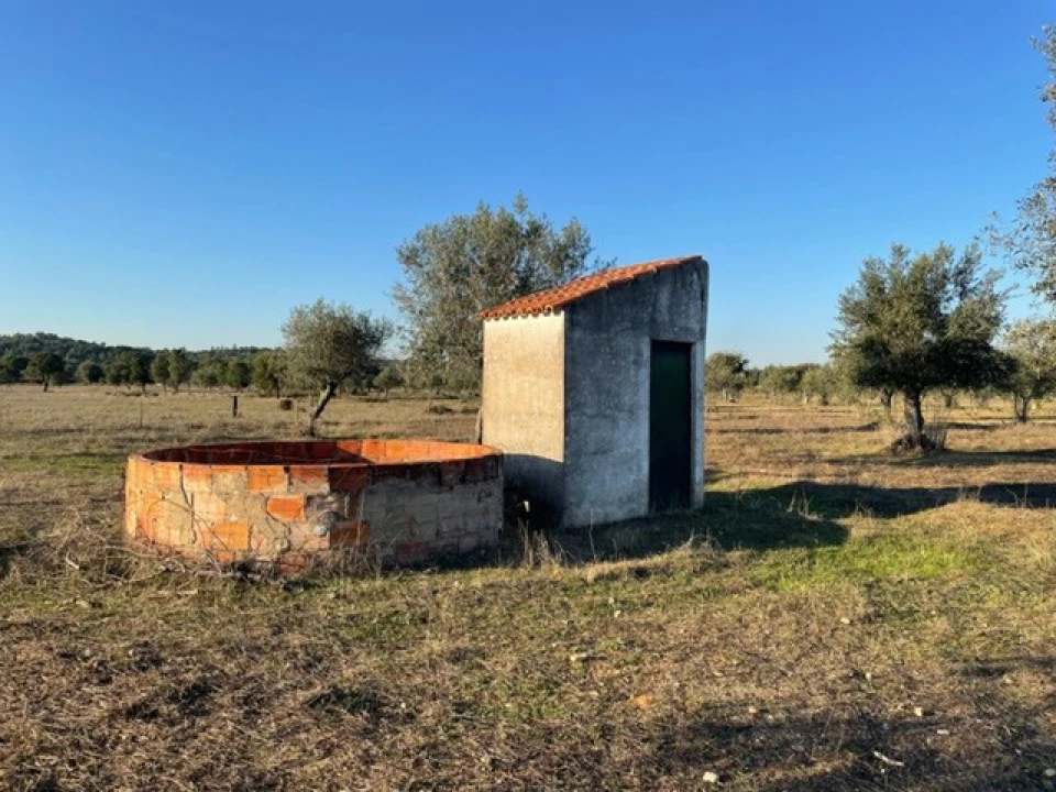 Terreno Agricola ou Rústico para Venda em Ponte de Sor, Tramaga e Vale de Açor Foto 5