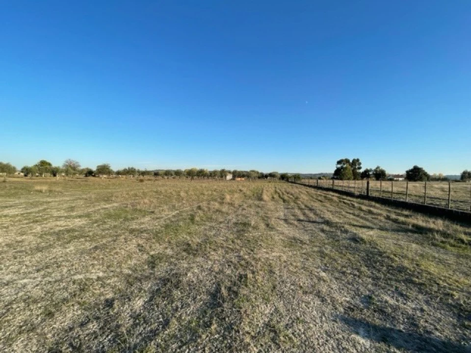Terreno Agricola ou Rústico para Venda em Ponte de Sor, Tramaga e Vale de Açor Foto 7
