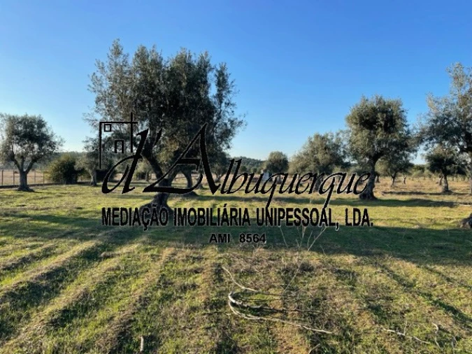 Terreno Agricola ou Rústico para Venda em Ponte de Sor, Tramaga e Vale de Açor Foto 1