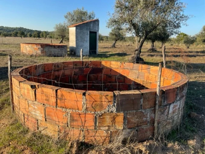 Terreno Agricola ou Rústico para Venda em Ponte de Sor, Tramaga e Vale de Açor Foto 2