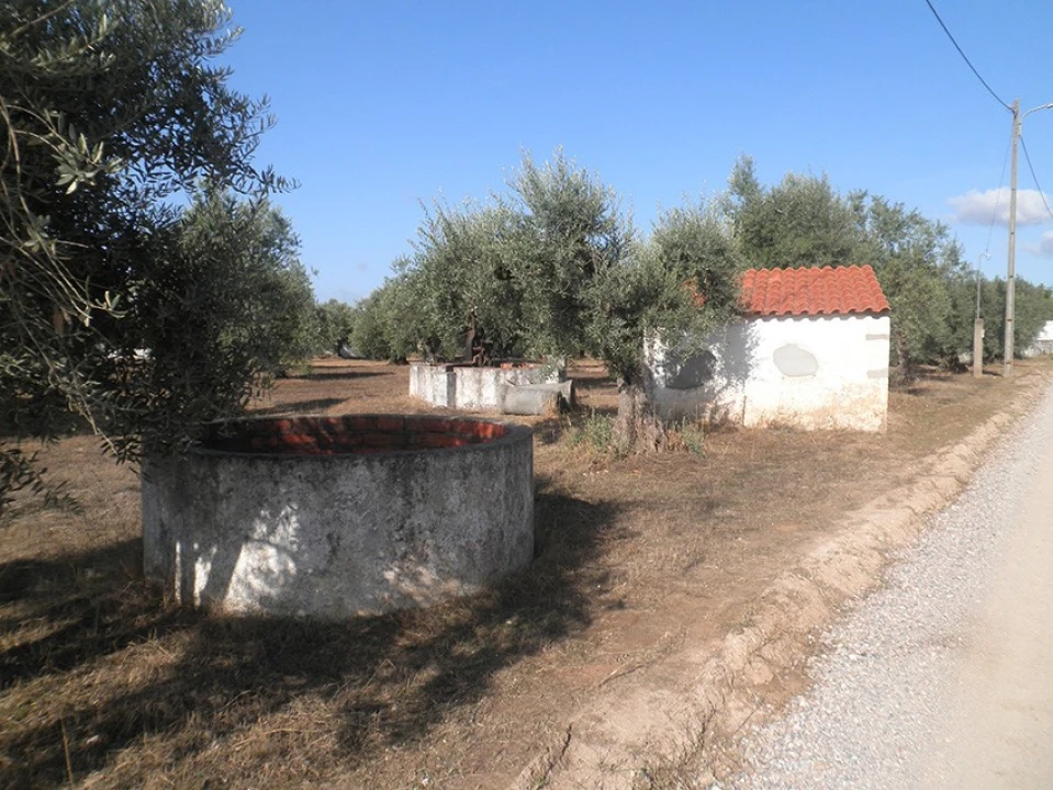 Terreno Agricola ou Rústico para Venda em Ponte de Sor, Tramaga e Vale de Açor Foto 4