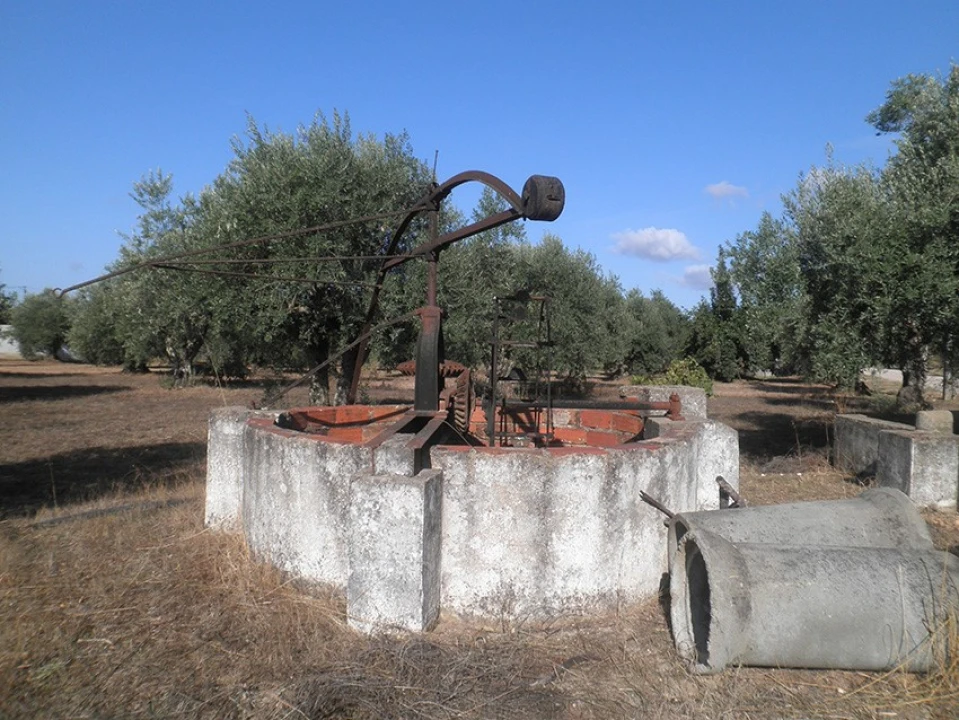 Terreno Agricola ou Rústico para Venda em Ponte de Sor, Tramaga e Vale de Açor Foto 5