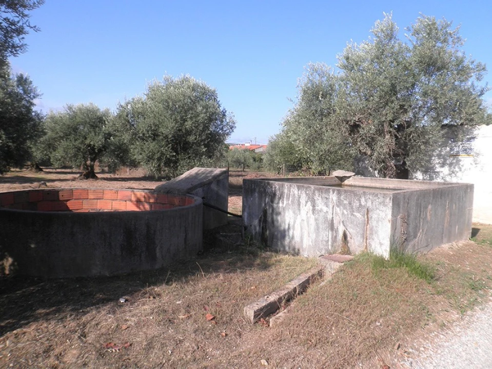 Terreno Agricola ou Rústico para Venda em Ponte de Sor, Tramaga e Vale de Açor Foto 9