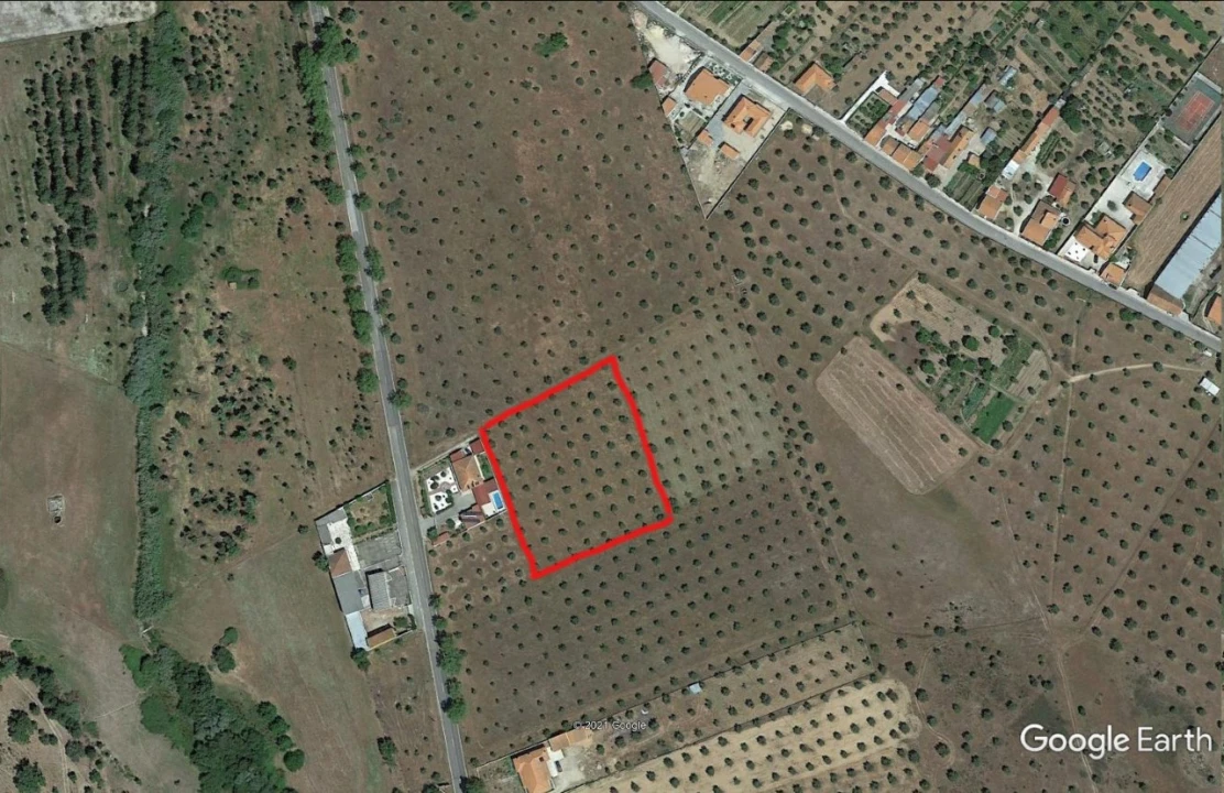 Terreno Agricola ou Rústico para Venda em Ponte de Sor, Tramaga e Vale de Açor Foto 4