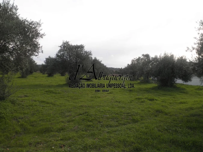 Terreno Agricola ou Rústico para Venda em Ponte de Sor, Tramaga e Vale de Açor Foto 1