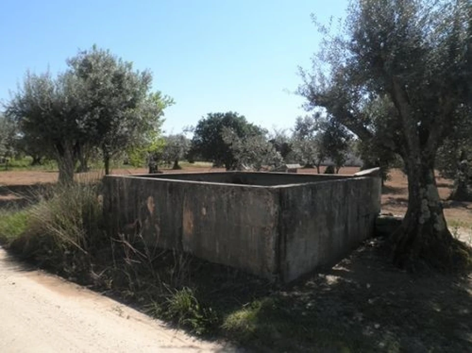 Terreno Agricola ou Rústico para Venda em Ponte de Sor, Tramaga e Vale de Açor Foto 3