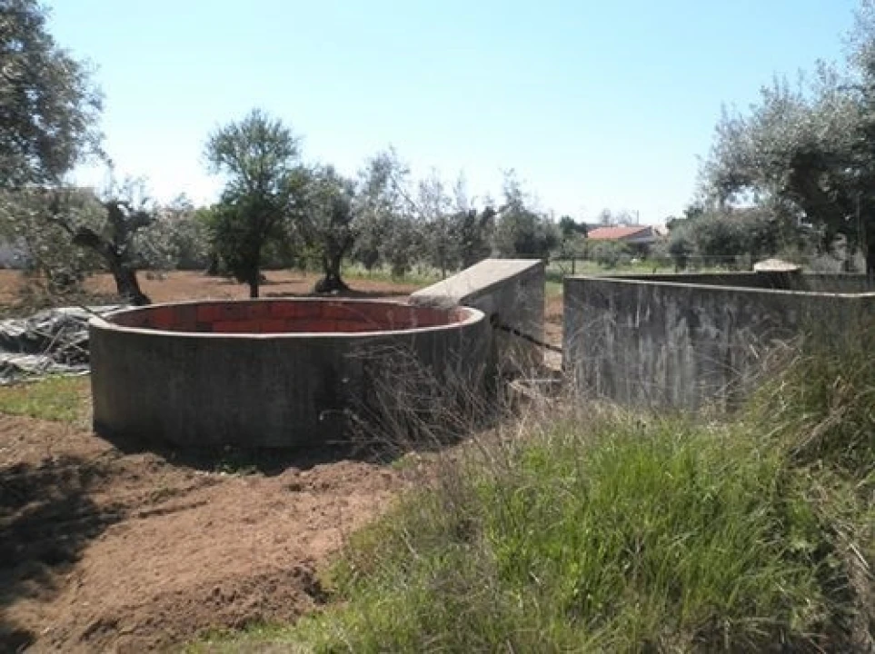 Terreno Agricola ou Rústico para Venda em Ponte de Sor, Tramaga e Vale de Açor Foto 4