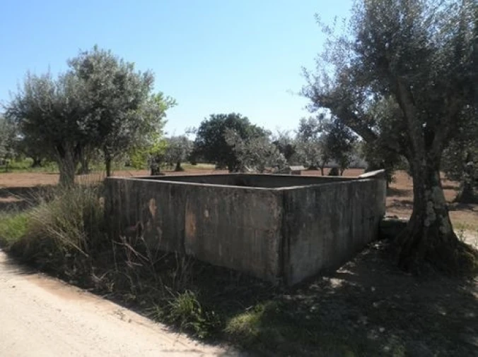 Terreno Agricola ou Rústico para Venda em Ponte de Sor, Tramaga e Vale de Açor Foto 3