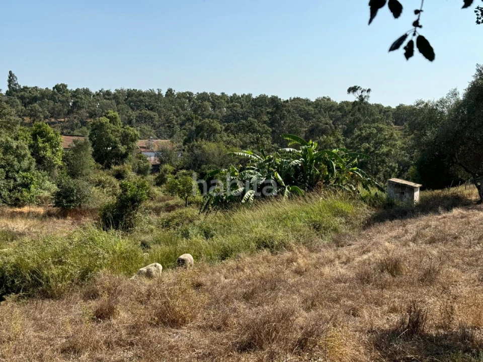Quinta para Venda em São Luis Foto 18