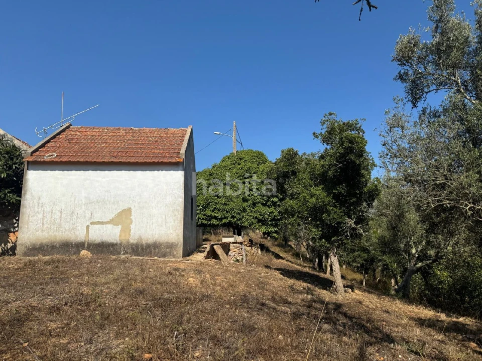 Quinta para Venda em São Luis Foto 5