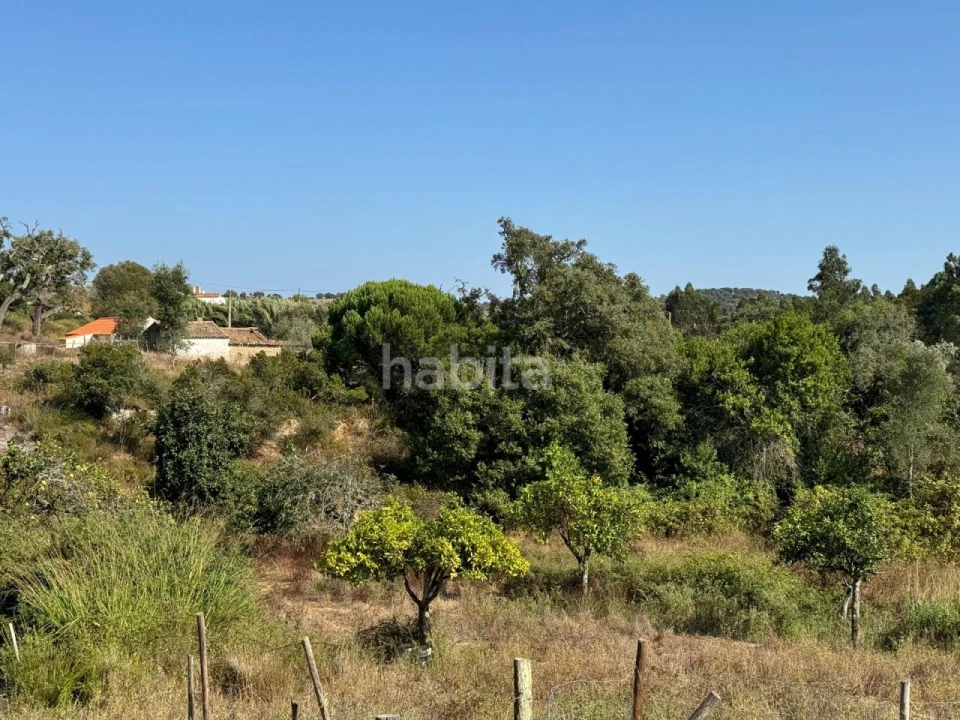 Quinta para Venda em São Luis Foto 19