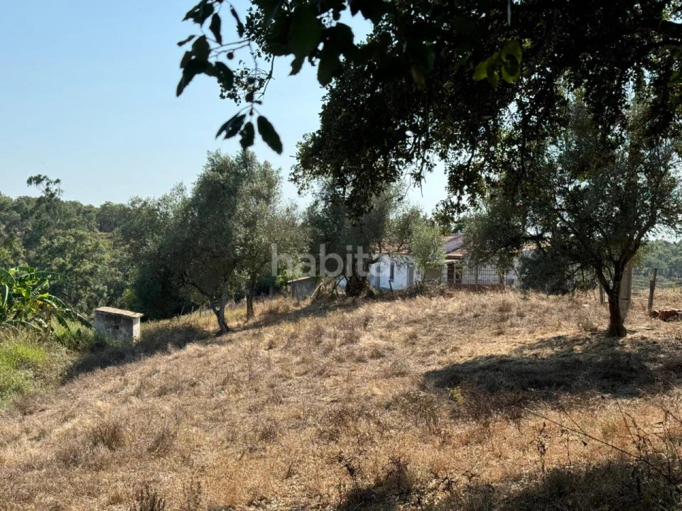 Quinta para Venda em São Luis Foto 21