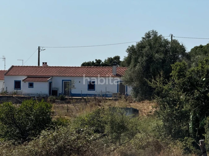 Quinta para Venda em São Luis Foto 2