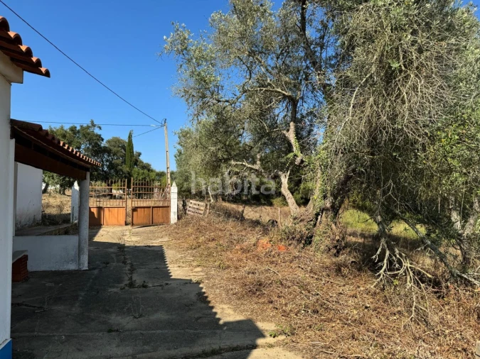 Quinta para Venda em São Luis Foto 6