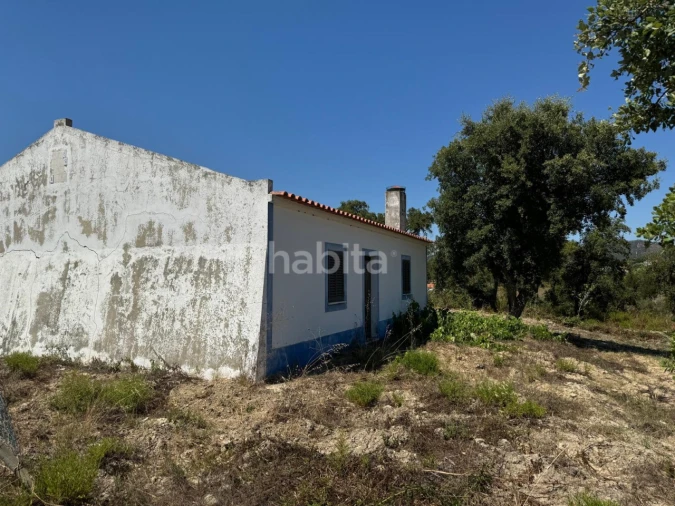 Quinta para Venda em São Luis Foto 3