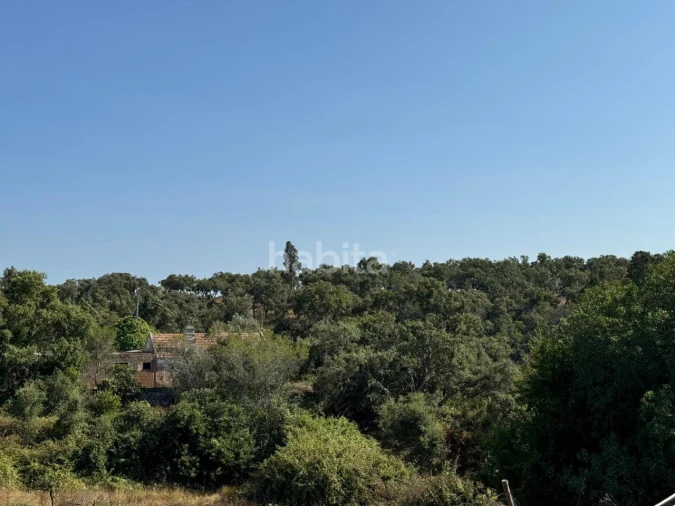 Quinta para Venda em São Luis Foto 17