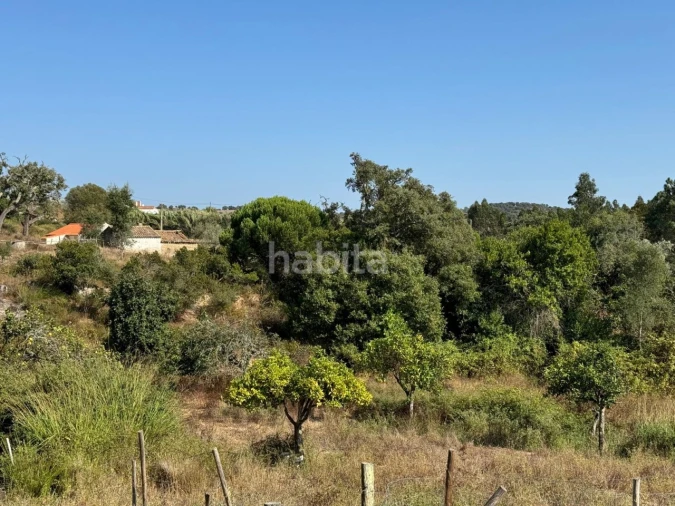 Quinta para Venda em São Luis Foto 19