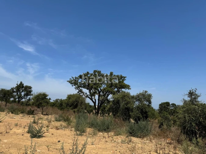 Quinta T2 para Venda em São Francisco da Serra Foto 30