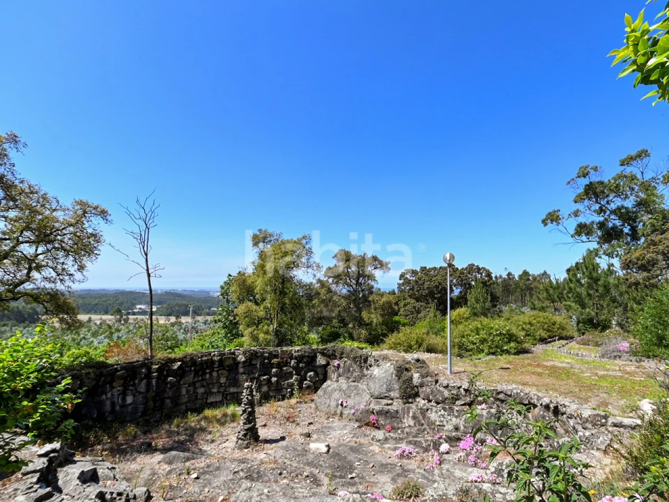 Quinta T6 para Venda em Alvarelhos e Guidões Foto 18