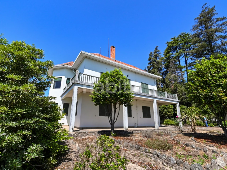 Quinta T6 para Venda em Alvarelhos e Guidões Foto 4