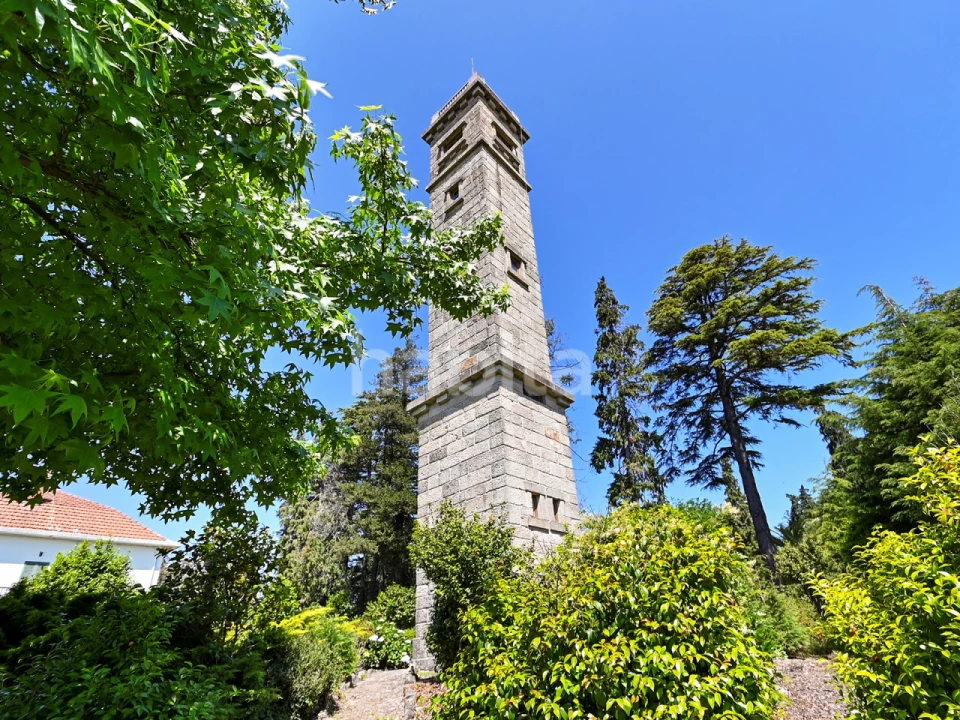 Quinta T6 para Venda em Alvarelhos e Guidões Foto 7