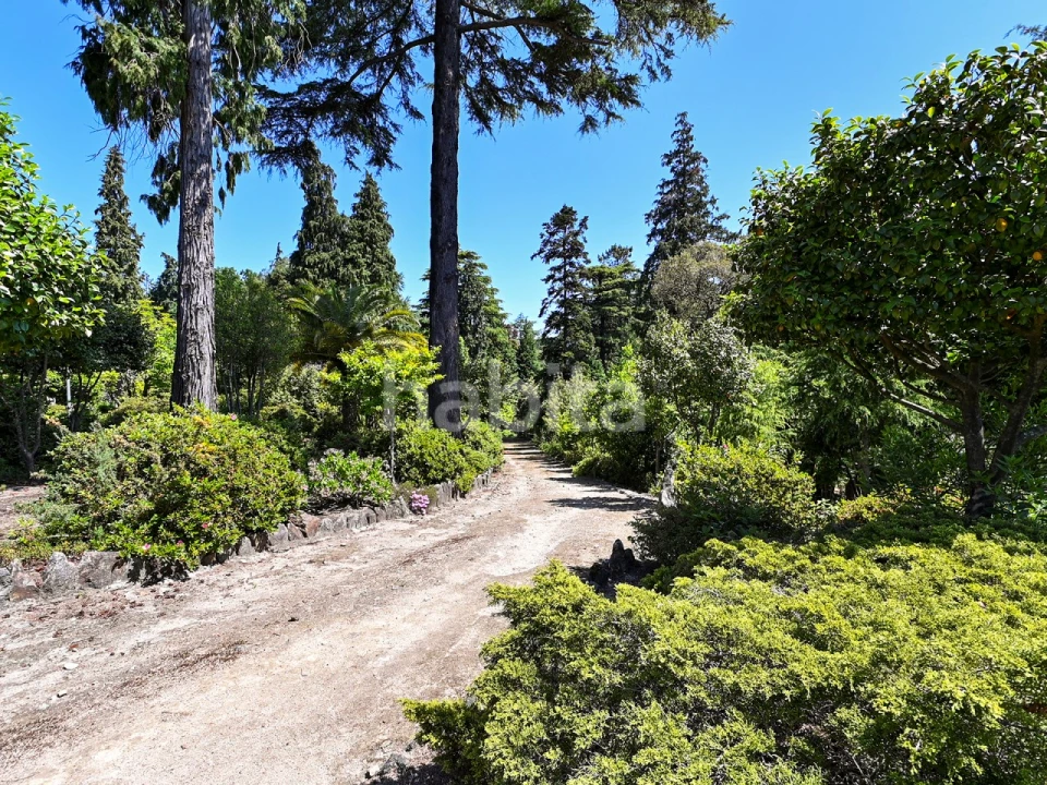 Quinta T6 para Venda em Alvarelhos e Guidões Foto 16