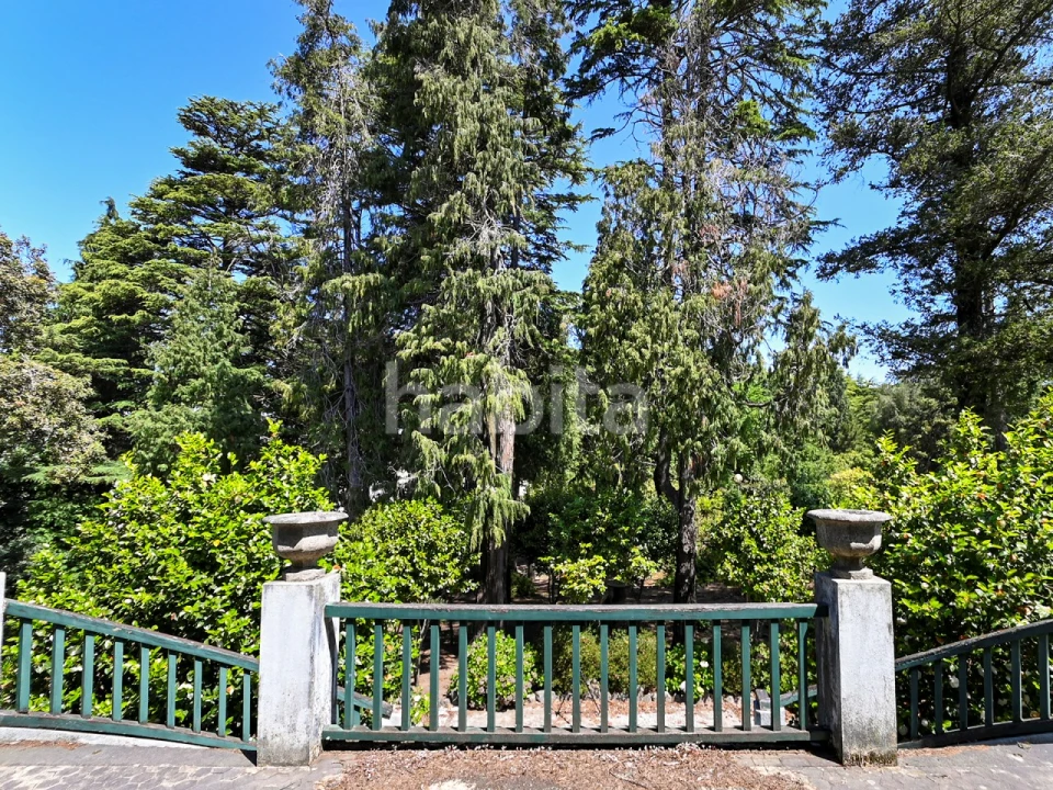 Quinta T6 para Venda em Alvarelhos e Guidões Foto 11