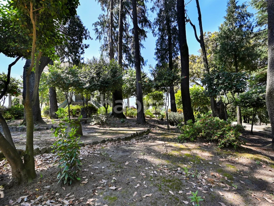 Quinta T6 para Venda em Alvarelhos e Guidões Foto 13