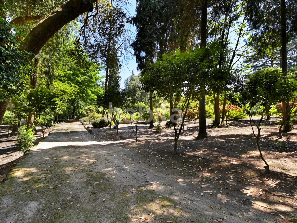 Quinta T6 para Venda em Alvarelhos e Guidões Foto 15