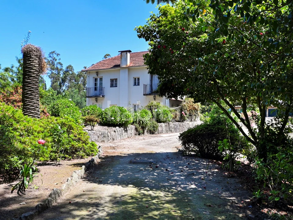 Quinta T6 para Venda em Alvarelhos e Guidões Foto 21