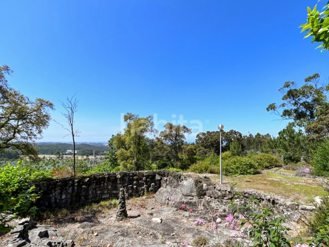 Quinta T6 para Venda em Alvarelhos e Guidões Foto 18