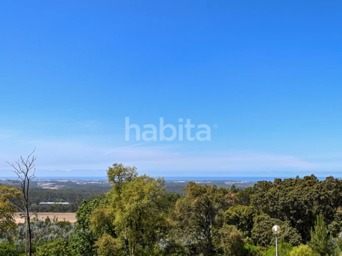 Quinta T6 para Venda em Alvarelhos e Guidões Foto 20