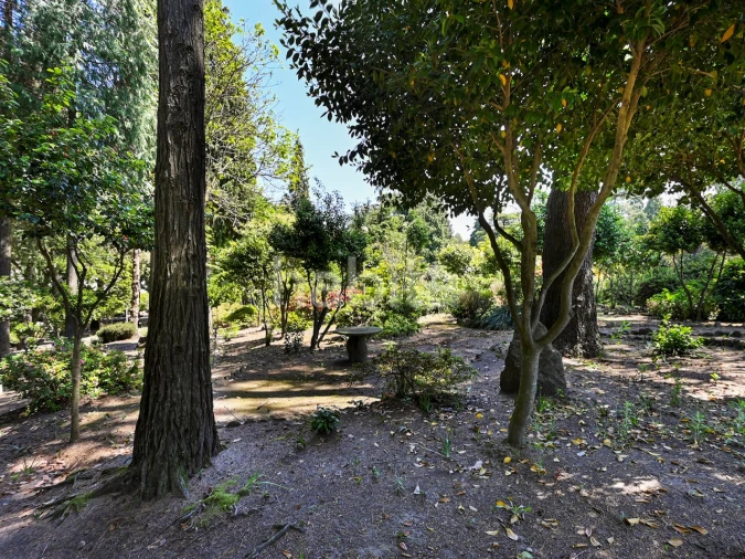 Quinta T6 para Venda em Alvarelhos e Guidões Foto 12