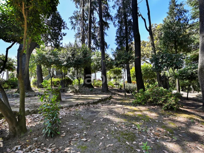 Quinta T6 para Venda em Alvarelhos e Guidões Foto 13