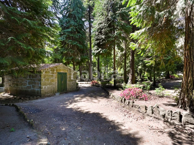 Quinta T6 para Venda em Alvarelhos e Guidões Foto 14