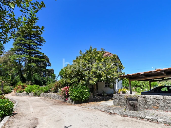 Quinta T6 para Venda em Alvarelhos e Guidões Foto 22