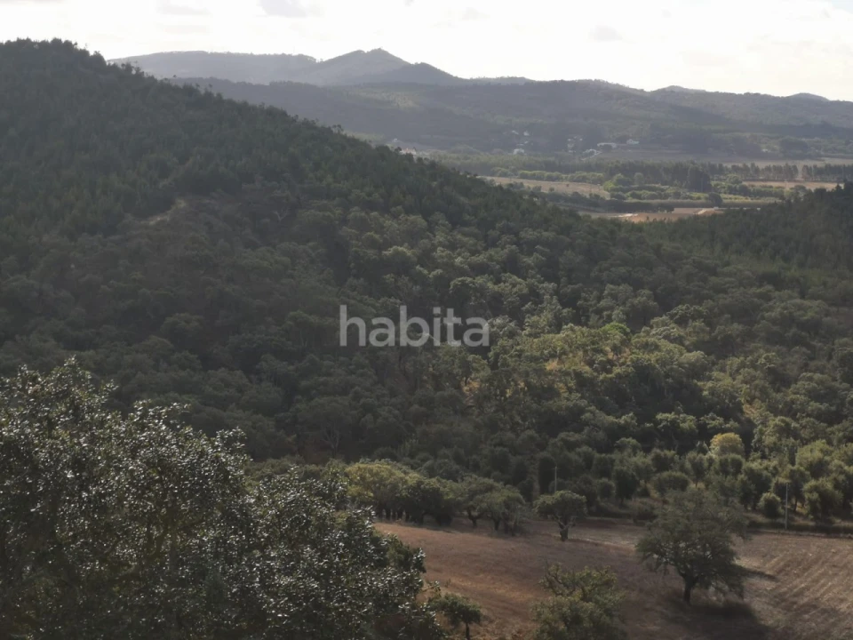 Quinta T1 para Venda em Porto Covo Foto 30