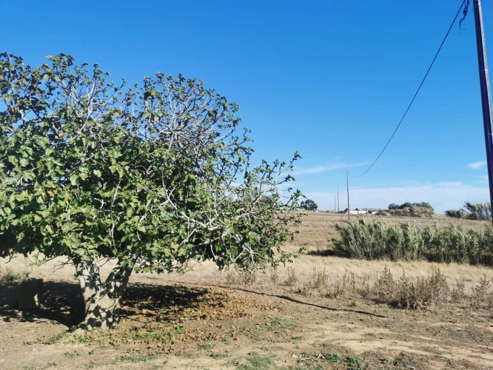 Quinta T1 para Venda em Porto Covo Foto 11