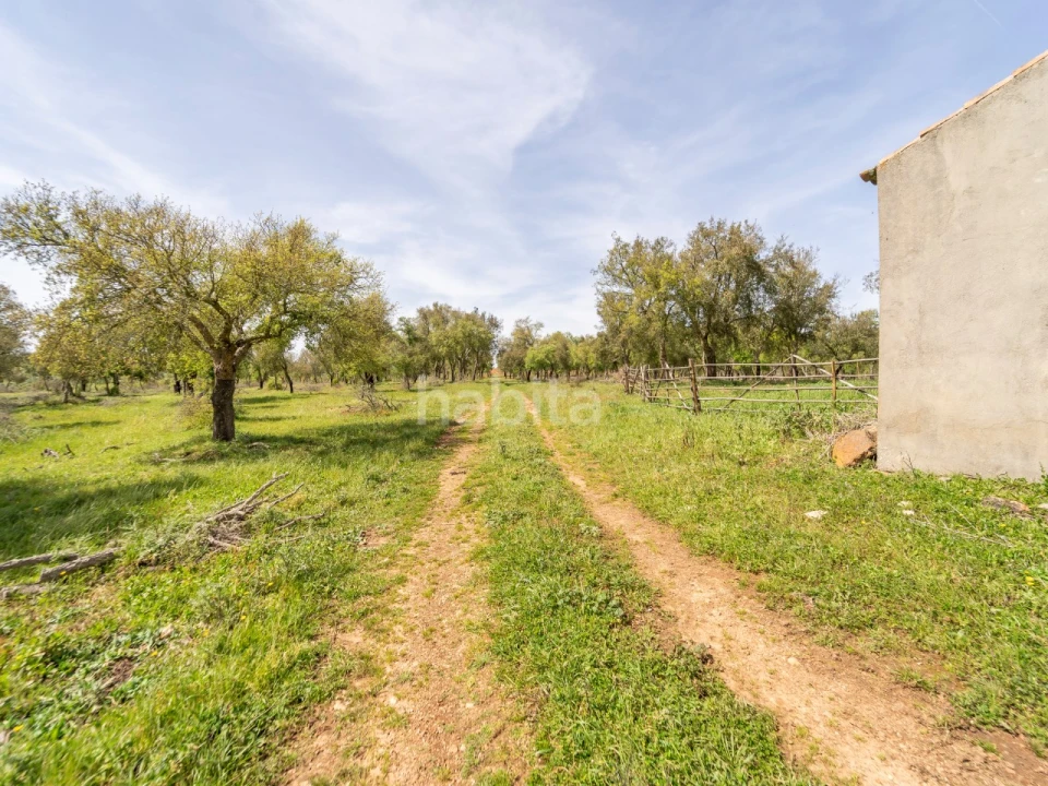 Quinta T2 para Venda em Cercal Foto 6