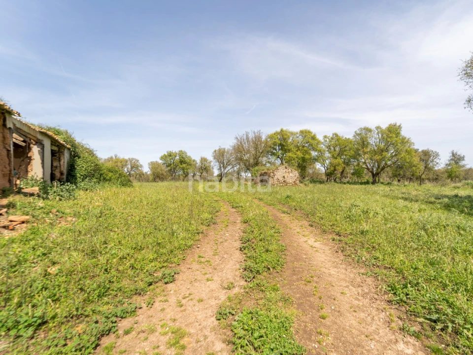 Quinta T2 para Venda em Cercal Foto 7