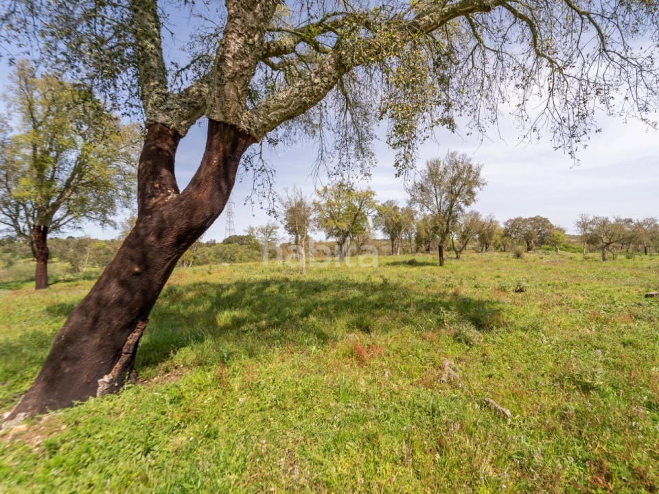Quinta T2 para Venda em Cercal Foto 12