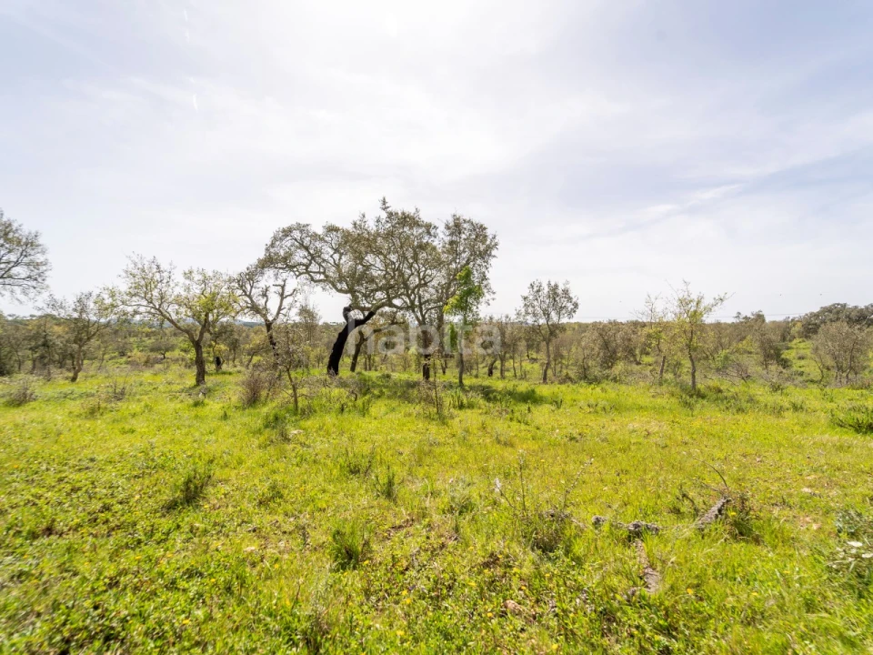 Quinta T2 para Venda em Cercal Foto 16