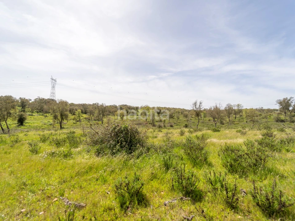 Quinta T2 para Venda em Cercal Foto 17