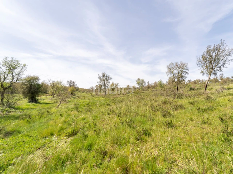 Quinta T2 para Venda em Cercal Foto 18